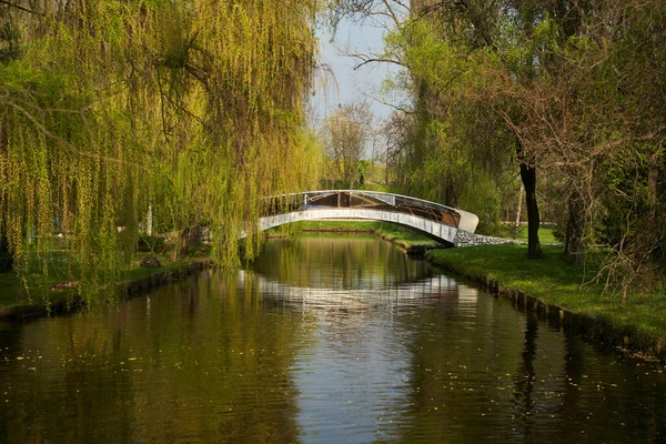 公園で夏 水と風景 橋と柳 — ストック写真