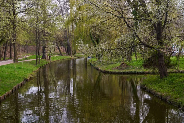 带有水渠和树木的公园景观 — 图库照片