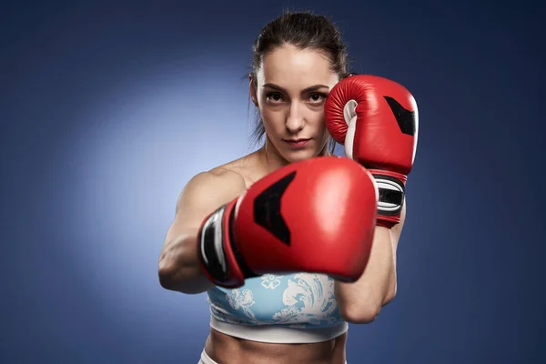 Mujer Joven Boxeadora Guantes Boxeo Rojos Entrenamiento Sobre Fondo Azul —  Fotos de Stock