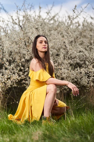Portrait Beautiful Young Woman Yellow Dress Blackthorn Bush Late Spring — Zdjęcie stockowe