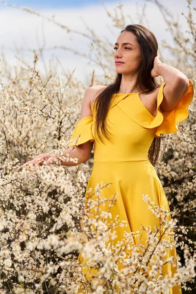 Portrait Beautiful Young Woman Yellow Dress Blackthorn Bush Late Spring — Stock Photo, Image