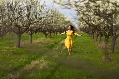 Çiçek açan erik bahçesinde sarı elbiseli mutlu ve çekici bir kadın.