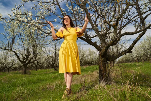 Boldog Vonzó Fiatal Sárga Ruhában Egy Virágzó Szilva Gyümölcsösben — Stock Fotó
