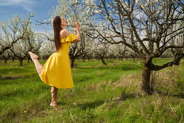 Çiçek açan erik bahçesinde sarı elbiseli mutlu ve çekici bir kadın.