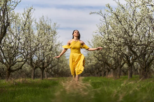 Happy Attractive Young Woman Yellow Dress Blooming Plum Orchard — Stock Fotó