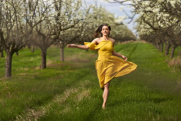 Joyeux Attrayant Jeune Femme Robe Jaune Dans Verger Pruniers Fleurs — Photo