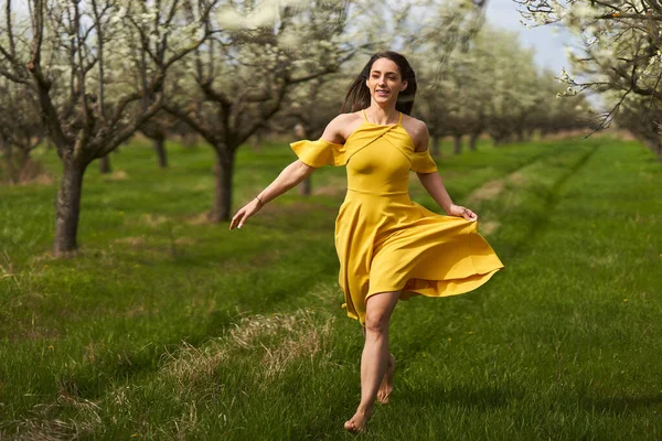 Happy Attractive Young Woman Yellow Dress Blooming Plum Orchard — Fotografia de Stock