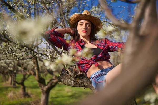 Young Attractive Farmer Woman Plaid Shirt Short Jeans Blooming Plum — Fotografia de Stock