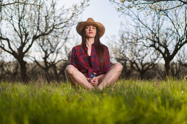 Jovem Agricultor Atraente Mulher Camisa Xadrez Jeans Curtos Pomar Ameixa — Fotografia de Stock