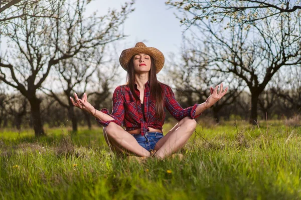 Young Attractive Farmer Woman Plaid Shirt Short Jeans Blooming Plum —  Fotos de Stock