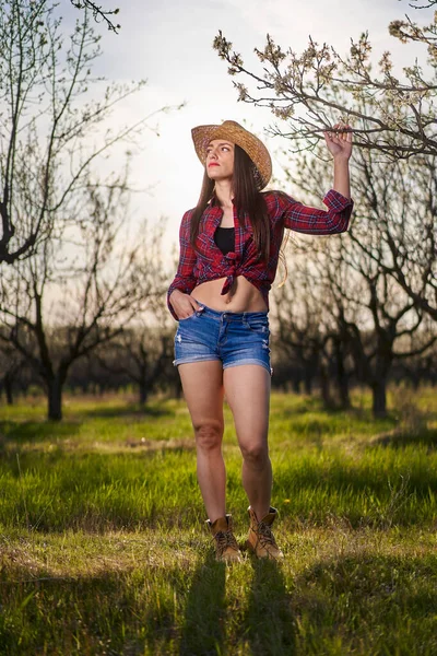 Young Attractive Farmer Woman Plaid Shirt Short Jeans Blooming Plum — Stock Photo, Image