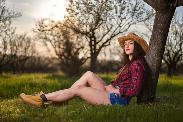 若い魅力的な農家の女性の再生シャツと短いジーンズで開花梅の果樹園 — ストック写真