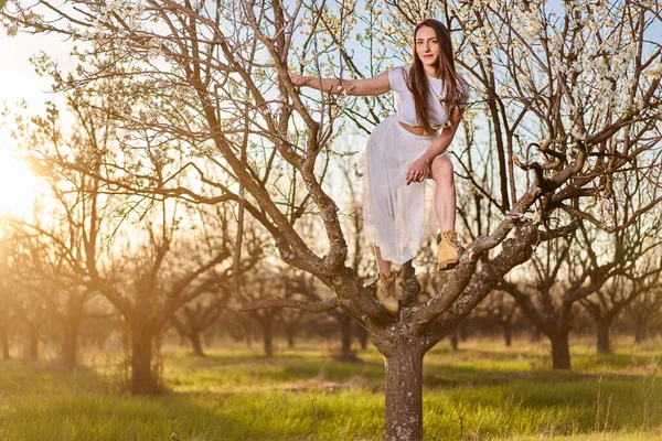 Portrait Beautiful Caucasian Woman White Dress Blooming Plum Orchard — Stock Fotó