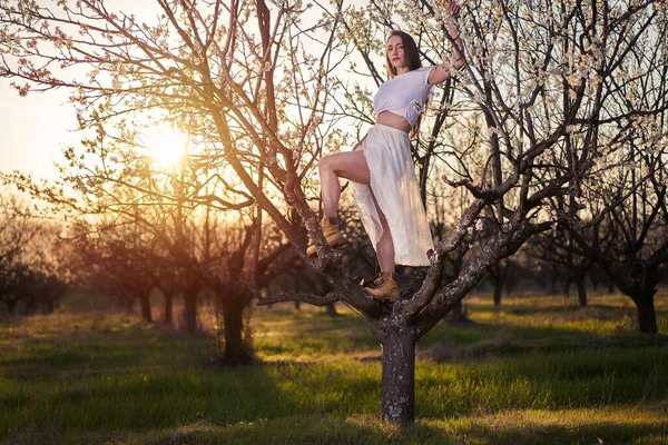 Portrait Beautiful Caucasian Woman White Dress Blooming Plum Orchard — стоковое фото