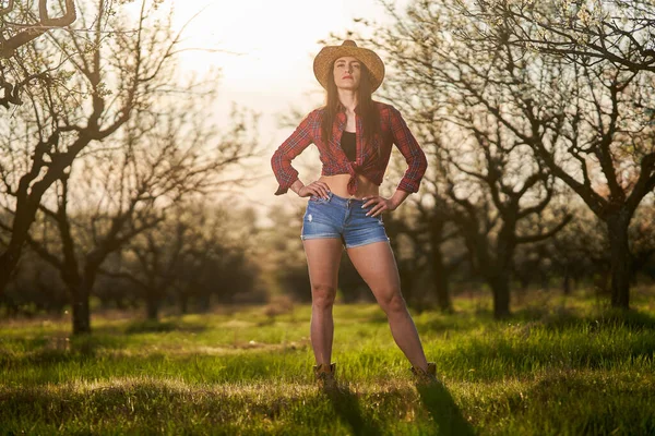 Mladá Atraktivní Farmářka Kostkované Košili Krátkých Džínách Kvetoucím Švestkovém Sadě — Stock fotografie
