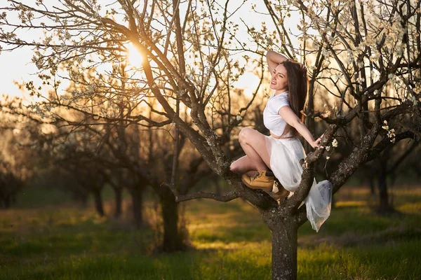 Portrait Beautiful Caucasian Woman White Dress Blooming Plum Orchard — Stockfoto