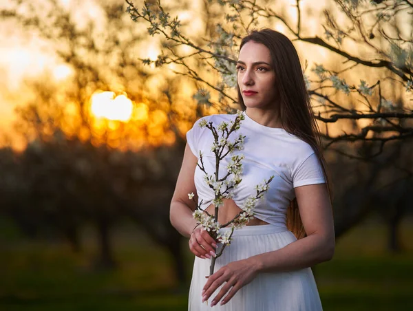 Portrait Beautiful Caucasian Woman White Dress Blooming Plum Orchard — Stockfoto