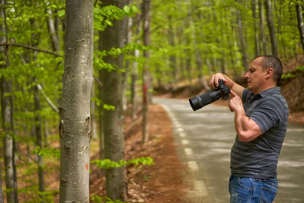 Nature Photographer Shooting Travel Images Road Beech Forest Εικόνα Αρχείου