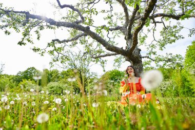 Elma bahçesinde uzun turuncu elbiseli güzel bir Hintli kadın.