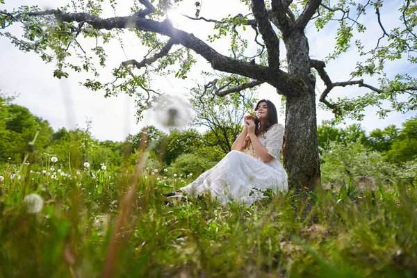 Mulher Bonita Vestido Longo Pomar Maçã — Fotografia de Stock