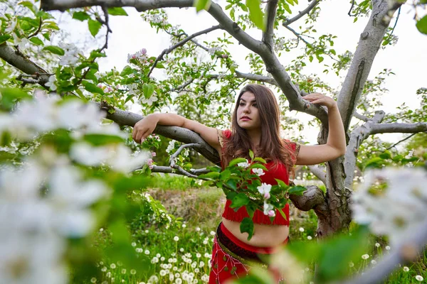 Vacker Ung Kvinna Indiansk Traditionell Klänning Äppelträdgård — Stockfoto