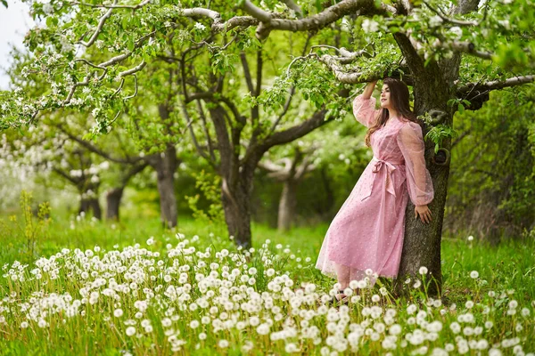 Piękna Młoda Kobieta Długiej Sukience Jabłkowym Sadzie — Zdjęcie stockowe