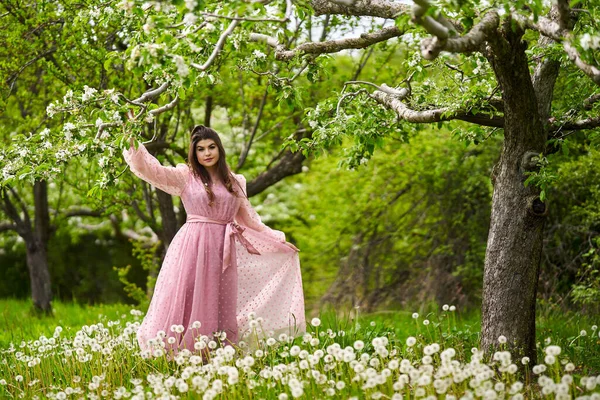 Piękna Młoda Kobieta Długiej Sukience Jabłkowym Sadzie — Zdjęcie stockowe