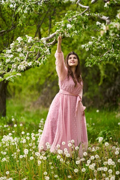 Hermosa Joven Vestido Largo Huerto Manzanas —  Fotos de Stock