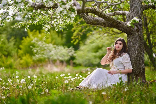Beautiful Young Woman Long Dress Apple Orchard — Stock Photo, Image