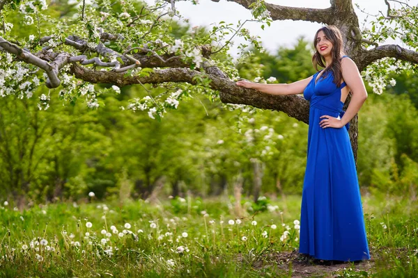 Mulher Indiana Jovem Bonita Vestido Azul Longo Pomar Maçã — Fotografia de Stock