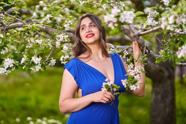Piękna Młoda Hinduska Kobieta Długich Niebieskich Sukienkach Jabłkowym Sadzie — Zdjęcie stockowe