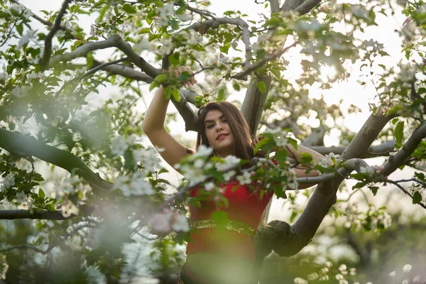 Vacker Ung Kvinna Indiansk Traditionell Klänning Äppelträdgård — Stockfoto