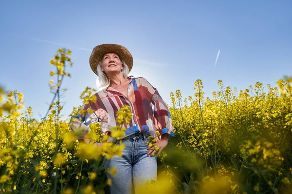 Schöne Seniorin Mit Weißem Haar Einem Rapsfeld — Stockfoto