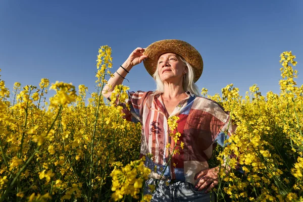 美しいですシニア女性白い髪で菜の花畑 — ストック写真