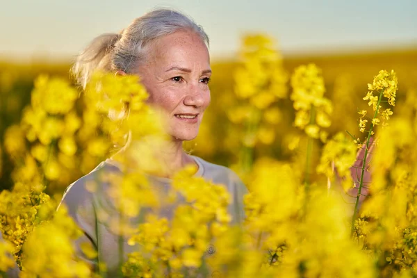 Mooie Senior Vrouw Met Wit Haar Een Canola Veld — Stockfoto