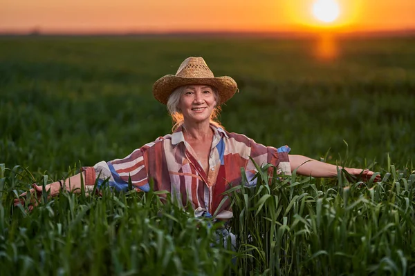 Portret Starszej Rolniczki Siwymi Włosami Zachodzie Słońca Polu Pszenicy — Zdjęcie stockowe
