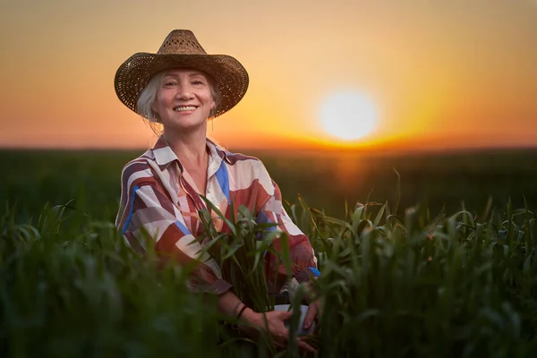 Porträt Einer Älteren Bäuerin Mit Weißem Haar Bei Sonnenuntergang Einem — Stockfoto