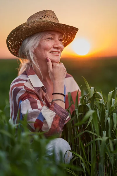 Портрет Пожилой Крестьянки Седыми Волосами Закате Пшеничном Поле — стоковое фото