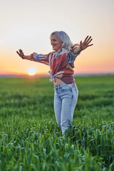 Gün Batımında Buğday Tarlasında Beyaz Saçlı Yaşlı Bir Çiftçi Kadının — Stok fotoğraf