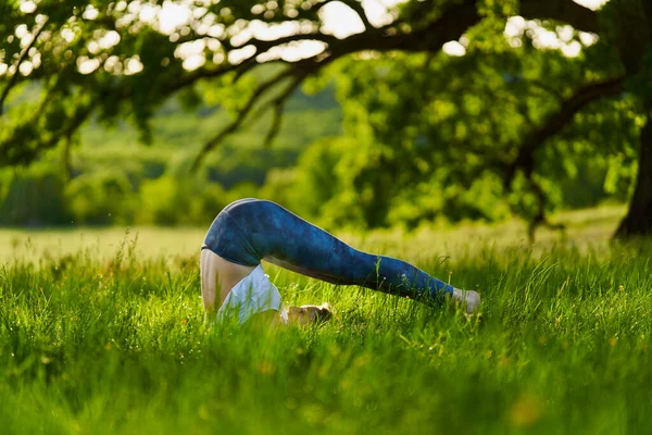 Young Woman Practicing Yoga Meditation Forest Centennial Oak Trees — Stock Photo, Image