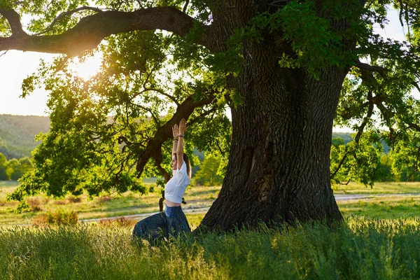 Mladá Žena Cvičí Jógu Meditaci Lese Stými Duby — Stock fotografie