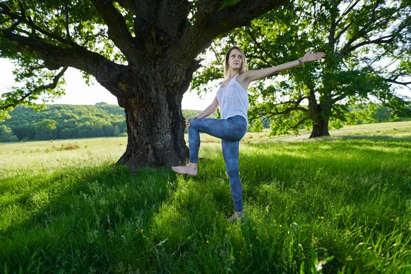 Mujer Joven Practicando Yoga Meditación Bosque Con Robles Centenarios — Foto de Stock
