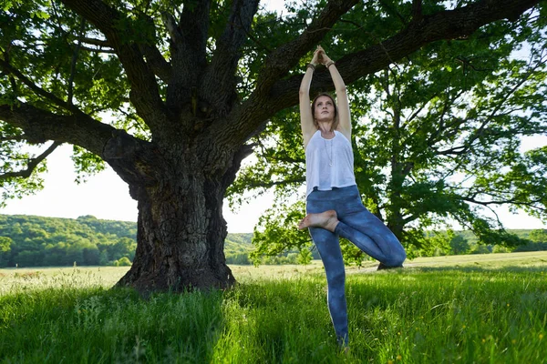 Ung Kvinna Som Utövar Yoga Och Meditation Skog Med Hundraåriga — Stockfoto