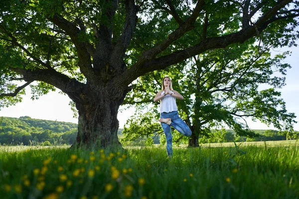 Jovem Praticando Ioga Meditação Uma Floresta Com Carvalhos Centenários — Fotografia de Stock