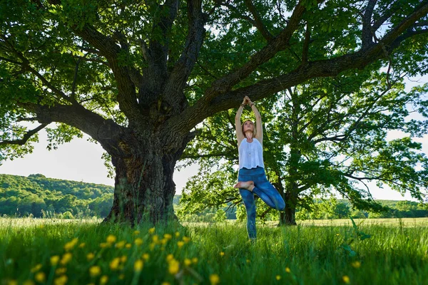 Fiatal Gyakorló Jóga Meditáció Egy Erdőben Centenáriumi Tölgyfa — Stock Fotó