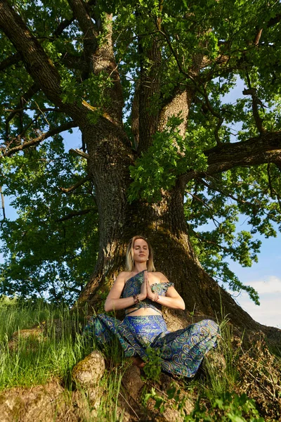 Fiatal Gyakorló Jóga Meditáció Egy Erdőben Centenáriumi Tölgyfa — Stock Fotó