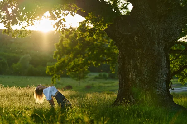 Giovane Donna Che Pratica Yoga Meditazione Una Foresta Con Querce — Foto Stock