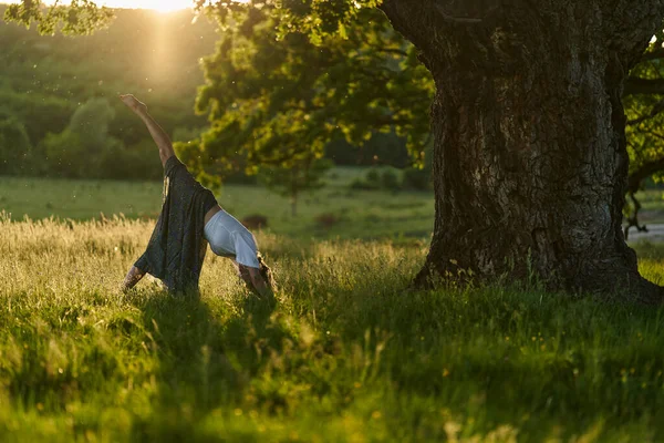 Fiatal Gyakorló Jóga Meditáció Egy Erdőben Centenáriumi Tölgyfa — Stock Fotó