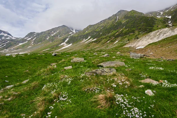 Yaz Başında Dağ Zirveleri Karla Kaplı Bir Manzara — Stok fotoğraf