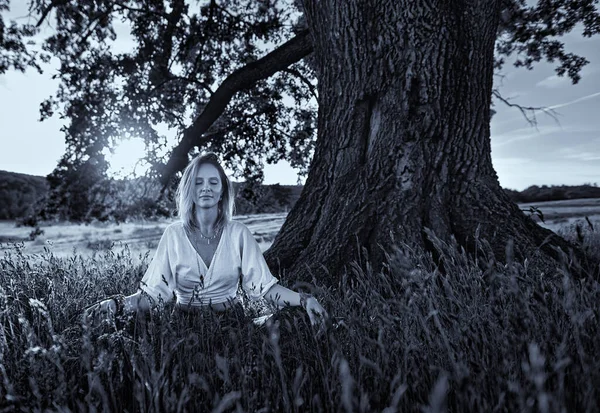 日落时在一棵百年橡树下做瑜伽冥想的年轻女子的单色色调画像 — 图库照片
